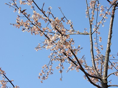 �J���d�U�N��