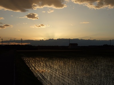 �[���̌���