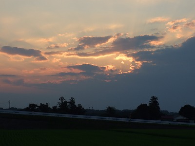 �[���̃q�J��