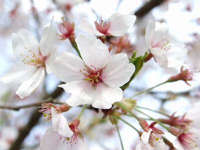 �����B��