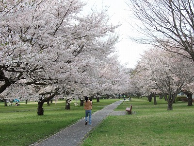 �����B��