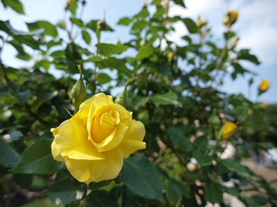 �����B��