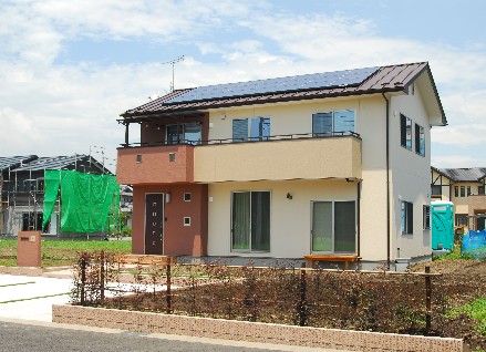 �Z�����[�Y�t�@�C�o�[�̉�