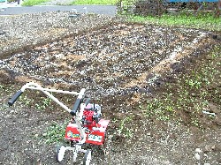 �ƒ�؉��@�{��