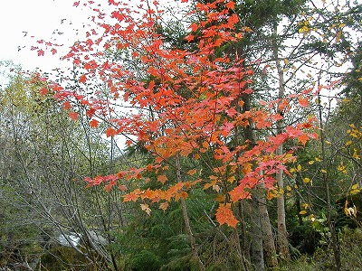 �����x�@�g�t